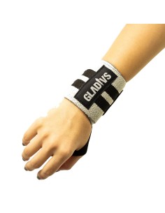 Polsiere Gladius | Gladius 2